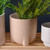 Sand finish Beige Pot With Feet 13cm