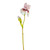 Iris Spray Pink And Purple 79Cm