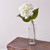 Hydrangea Extra Lge Cream