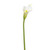 Calla Lily Cream Sml Head 66Cm