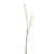 Pussy Willow Stem 100Cm