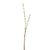 Pussy Willow Stem 100Cm