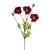 Olivia Poppy Spray Burgundy 75Cm