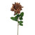 Amelia Rose Stem Caramel 68Cm