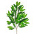 Bay Leaf Spray Green 62Cm