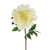 Peony Extra Lge Cream
