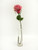 Prize Rose Med Pink