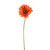 Gerbera Orange