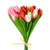 Tulip Bundle X 15 Red/Cream