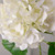 Hydrangea Stem Ivory