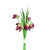 Fritillaria Bndl Burgundy 20Cm