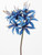 Nerine Blue 70Cm