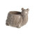 Ceramic Pot Tortoise 18cm