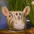 Zebra Planter