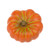 Pumpkin Orange And White 10Cm