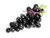 Fruit Bunch Grapes Black X1