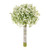 Prestige Gypsophila Bundle 26Cm
