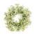 Prestige Gypsophila Wreath 20Cm
