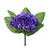 Violet Bush Purple