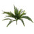 Boston Fern 48 Leaves 76Cm