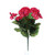 Geranium Bush Pink