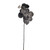 Phalaenopsis Spray Grey 66Cm Hqn