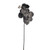 Phalaenopsis Spray Grey 66Cm Hqn