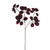 Baby Schefflera Spray Red 70Cm