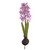 HYACINTH ON BULB PINK 34CM