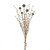 Thistle Straw Grass Bundle Green 52Cm