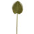 Fan Palm Soft Touch Light Green 75Cm