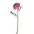 SORBET RANUNCULUS STEM PINK 44CM