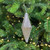Glass Drop Tree Dec 14.5Cm 4Ast