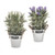 Potted Lavender Flowers Metal Pot 2 Assorted 35Cm