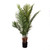 Potted Palm Tree 90cm