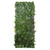 Fence Expandable Ivy