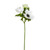 Anemone Spray Cream And Green 46Cm