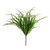 Beargrass Bush 40Cm
