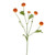 Aster Spray Orange 64Cm
