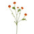 Aster Spray Orange 64Cm