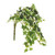 Basic Ivy Trail Bush Vgtd 33Cm