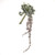 Succulent Trailing Bundle Green 23Cm