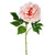 Luna Peony Coral 56Cm