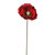 Poppy Pick Red 22Cm Box Of 48