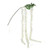 Wisteria Spray Ivory