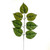 Apple Leaf Spray Green 58Cm