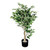 Potted Ficus Tree Green 104Cm