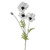 Poppy White 63Cm