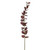 Eucalyptus Stem Burgandy