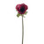 Olivia Anemone Stem Burgundy 38Cm